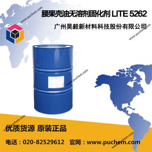 腰果壳油无溶剂固化剂 LITE 5262